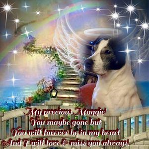 Meet your Posher, Donna